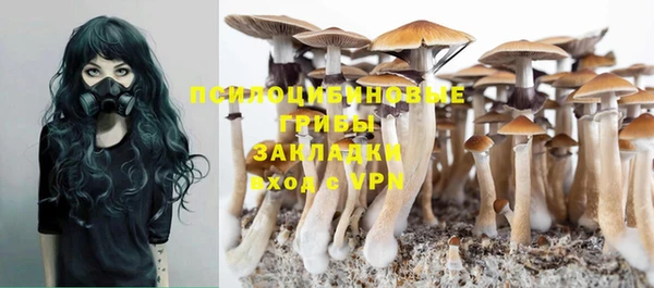 ГАЛЛЮЦИНОГЕННЫЕ ГРИБЫ Белокуриха
