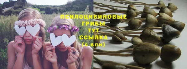 ГАЛЛЮЦИНОГЕННЫЕ ГРИБЫ Белокуриха